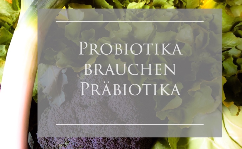 Probiotika – eine Auswahl
